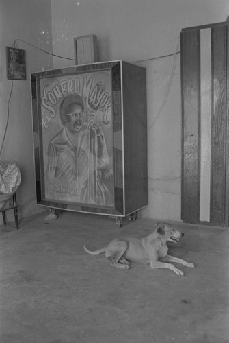 Dog sitting inside a home, San Basilio de Palenque, ca. 1978