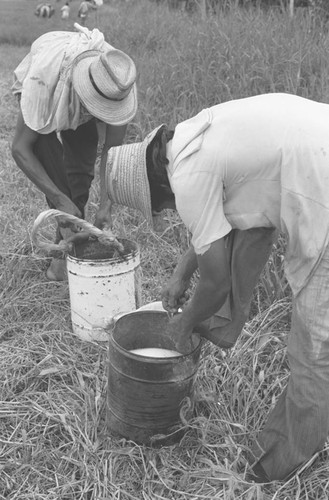 Men out on the field, La Chamba, Colombia, 1975