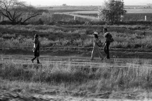 People cross paths, Mexico, 1983