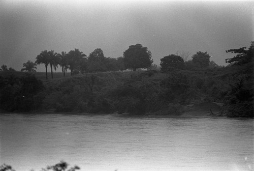 A dense forest and the river, La Chamba, Colombia, 1975