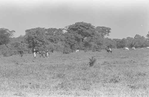 Woman and girls walking with bucket on their head, San Basilio de Palenque, 1976