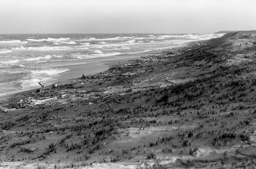 Shoreline, La Guajira, Colombia, 1976