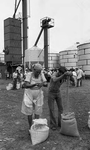 Woman and man sift grain, Nicaragua, 1980