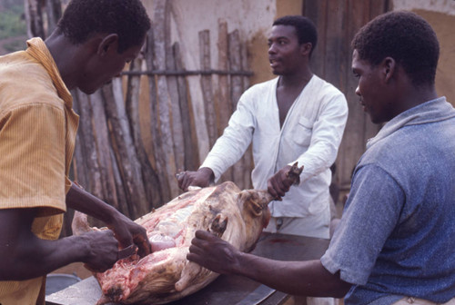 Men butchering a pig, San Basilio de Palenque, 1976