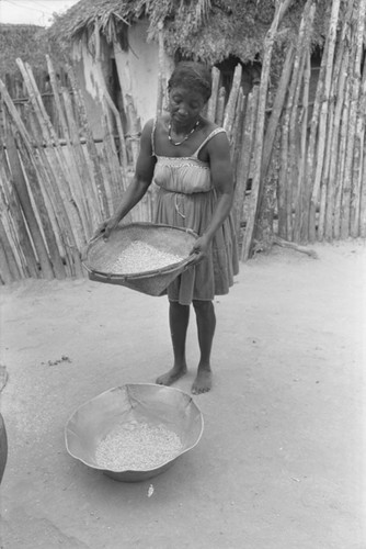 Woman sifting corn, San Basilio del Palenque, ca. 1978