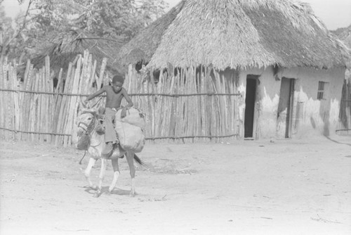 Boy riding a donkey, San Basilio de Palenque, 1976