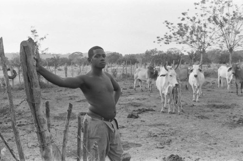 Young man and the cattle, San Basilio de Palenque, Colombia, 2020