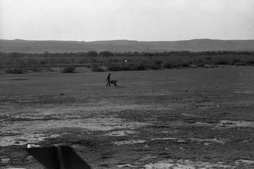 View from a train, Mexico, 1983