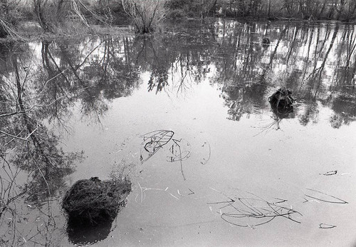 Survival school students practice silent swim techniques, Liberal, 1982