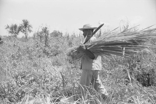 Man working in a field, San Basilio de Palenque, 1976