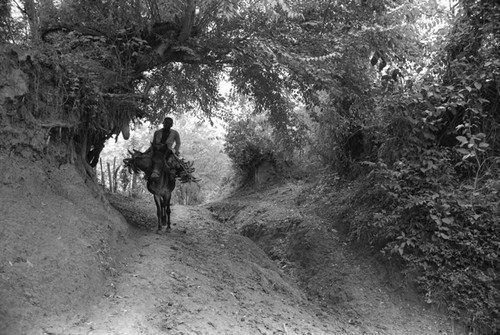 Man riding a mule, San Basilio de Palenque, 1976