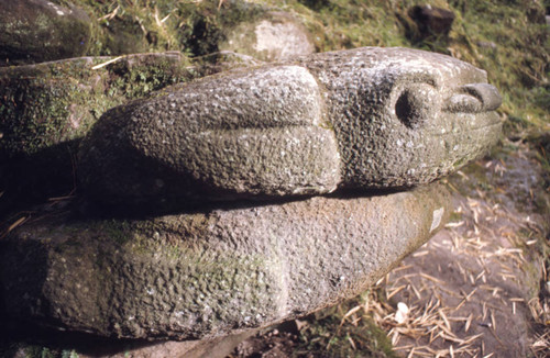 Carved stone boulder in the form of a toad, San Agustín, Colombia, 1975