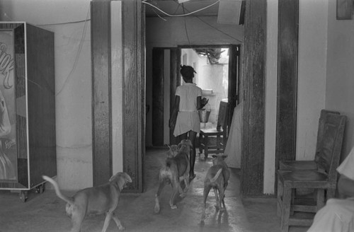 Girl and dogs inside a house, San Basilio de Palenque, ca. 1978