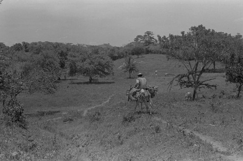 Man on a mule, San Basilio de Palenque, 1976