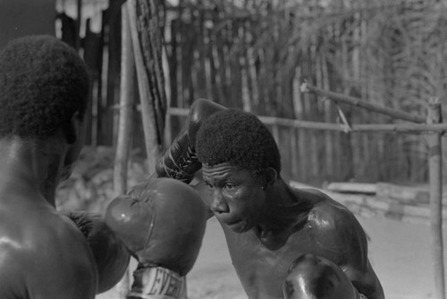 Boxers fighting inside ring, San Basilio de Palenque, ca. 1978