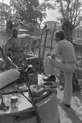 Fermín Herrera leader standing next to cattle herd, San Basilio del Palenque, ca. 1978