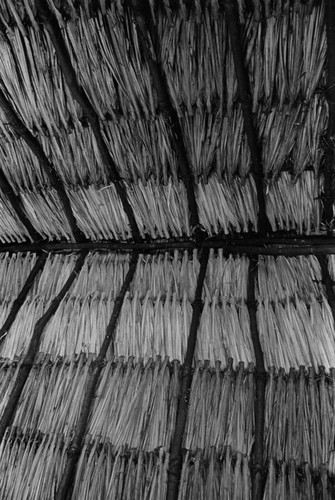 Interior view of a thatched roof, San Basilio de Palenque, 1976