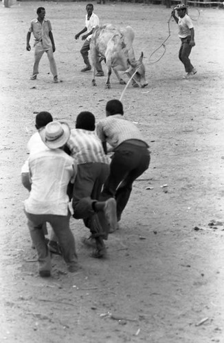 Rope bullfighting, San Basilio de Palenque, 1975