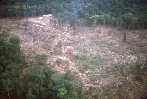 Refugee camp in the Lacandón jungle, ca. 1983