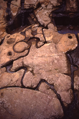 Fuente de Lavapatas, San Agustín, Colombia, 1975