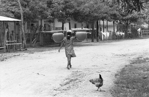 Transporting clay goods, La Chamba, Colombia, 1975