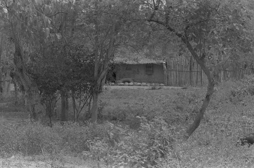 Home with thatched roof, San Basilio de Palenque, 1976