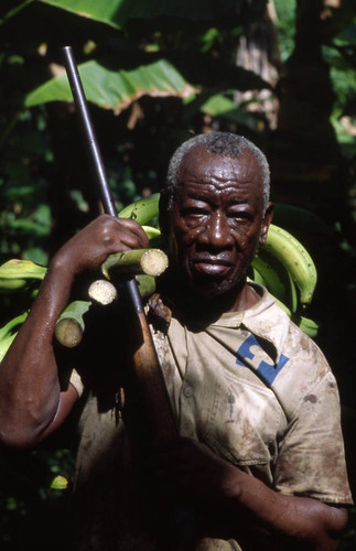 Fermín Herrera holding a bunch of bananas and a rifle, San Basilio de Palenque, 1976