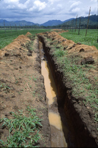 Muddy trench, Honduras, 1983