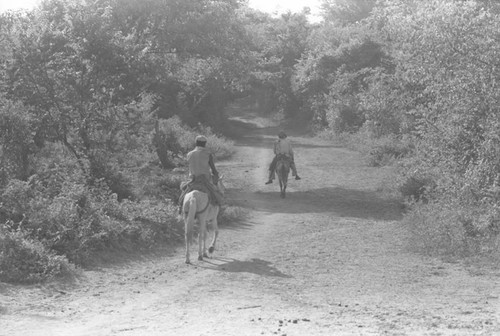 Men riding mules, San Basilio de Palenque, 1976