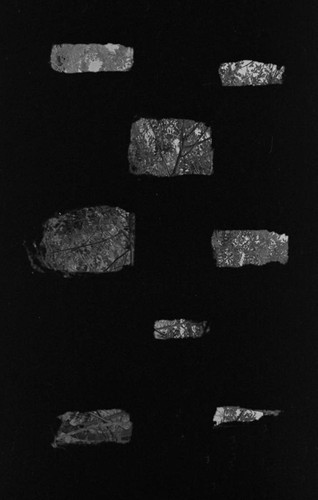 Panel with holes, San Basilio de Palenque, 1976