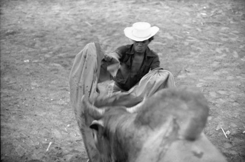 Bullfighter waves a cape in front of a bull, San Basilio de Palenque, 1975