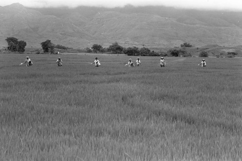 Sowing the field, La Chamba, Colombia, 1975