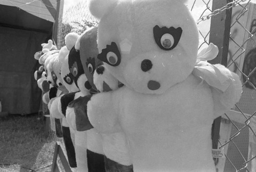 Teddy bear prizes, Minnesota, 1972