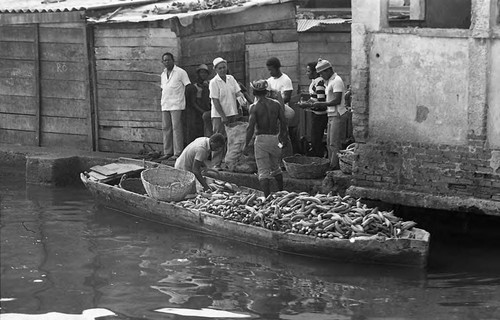 Men unload bananas from a boat, Cartagena Province, 1975