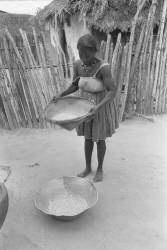 Woman sifting corn, San Basilio del Palenque, ca. 1978