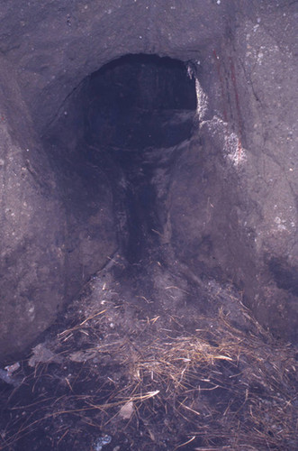 The entrance to a hypogeum, Tierradentro, Colombia, 1975