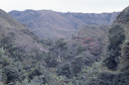 An aerial view, Tierradentro, Colombia, 1975