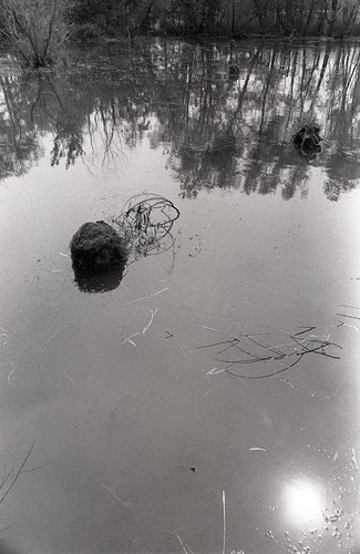 Survival school students practice silent swim techniques, Liberal, 1982