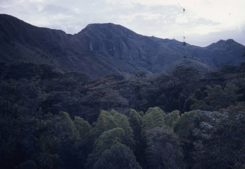 A panoramic view of the mountains, Tierradentro, Colombia, 1975