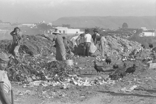 Looking through the landfill, Bucaramanga, Colombia, 1975