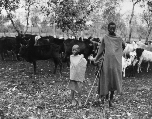 Villagers and livestock, Tanzania, 1979