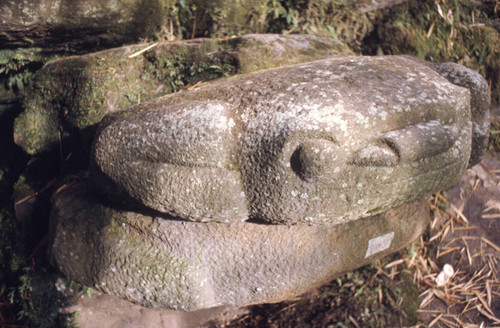 Carved stone boulder in the form of a toad, San Agustín, Colombia, 1975