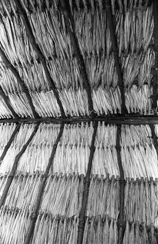Interior view of a thatched roof, San Basilio de Palenque, 1976
