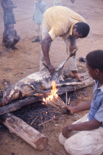 Men cooking a pig, San Basilio de Palenque, 1976