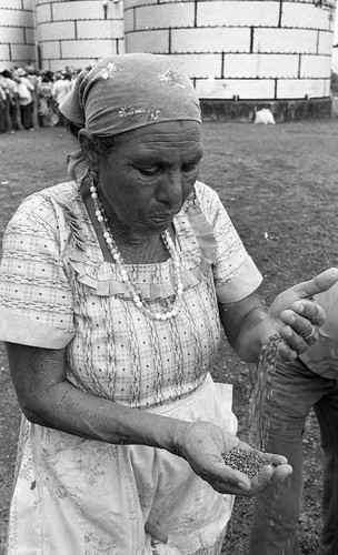 Woman sifts grain, Nicaragua, 1980