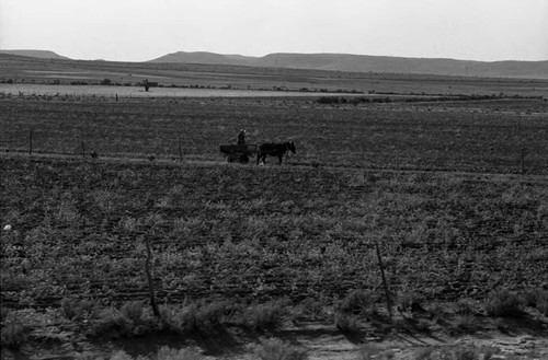 View from a train, Zacatecas, 1983