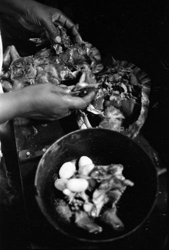 Woman cooking a turtle, San Basilio de Palenque, 1977