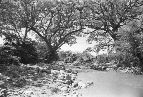 Landscape, La Guajira, Colombia, 1976