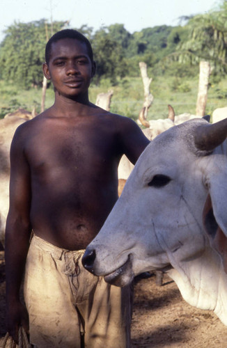 Young man standing next to a cow, San Basilio de Palenque, 1976