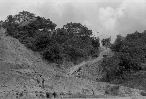 Soil erosion and a dirt road, Bucaramanga, Colombia, 1975